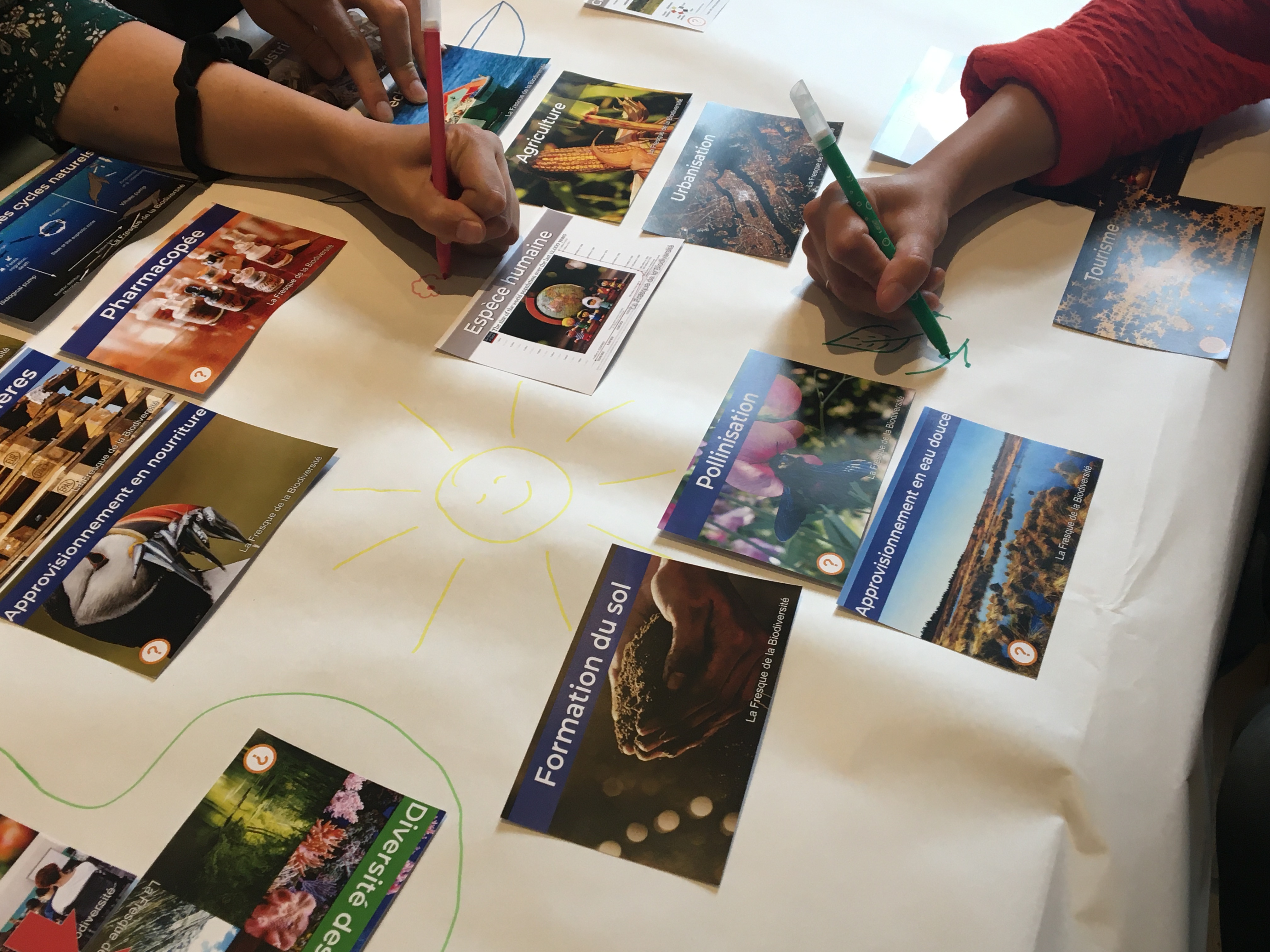 Fresque de la Biodiversité – Marie Mélinon