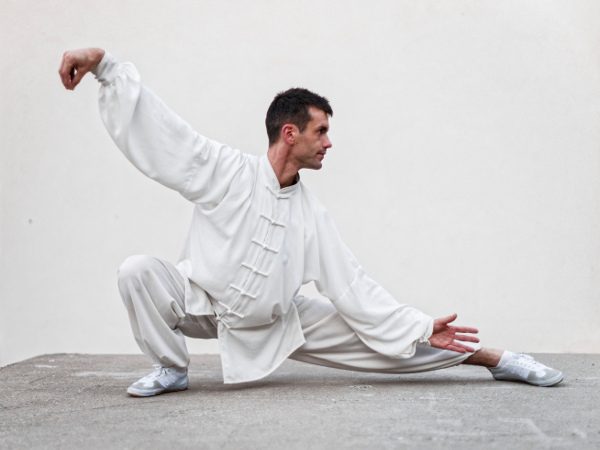 Taiji Quan - Fabien Montmartin